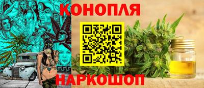 тгк Краснодар